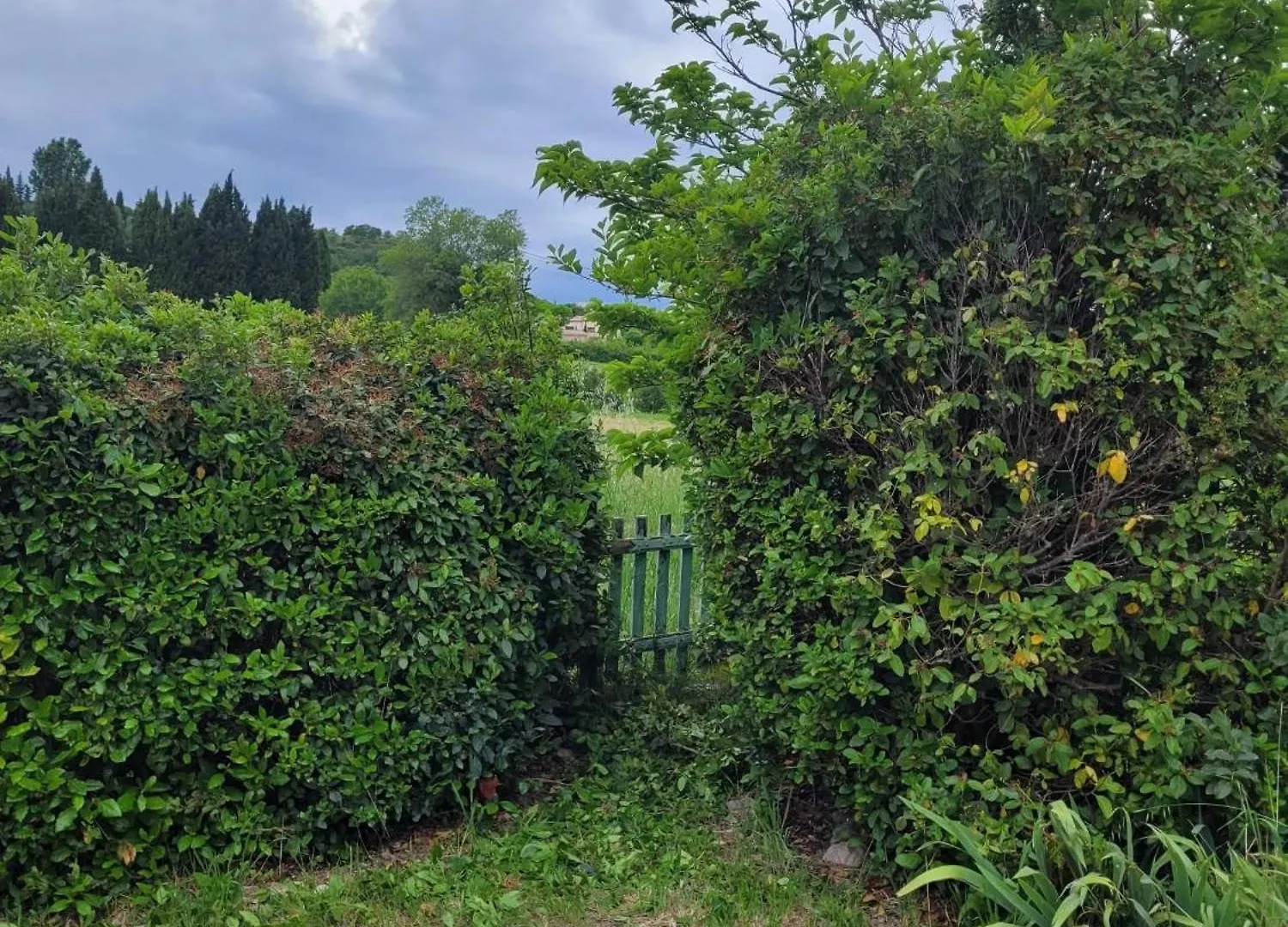 Maison Charmante A Saint-Michel-L'Observatoire Avec Jardin Holiday home