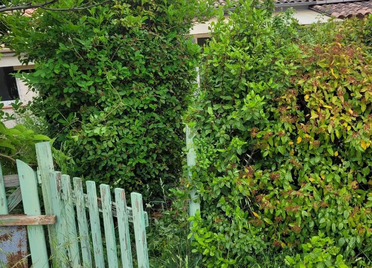 Holiday home Maison Charmante A Saint-Michel-L'Observatoire Avec Jardin France