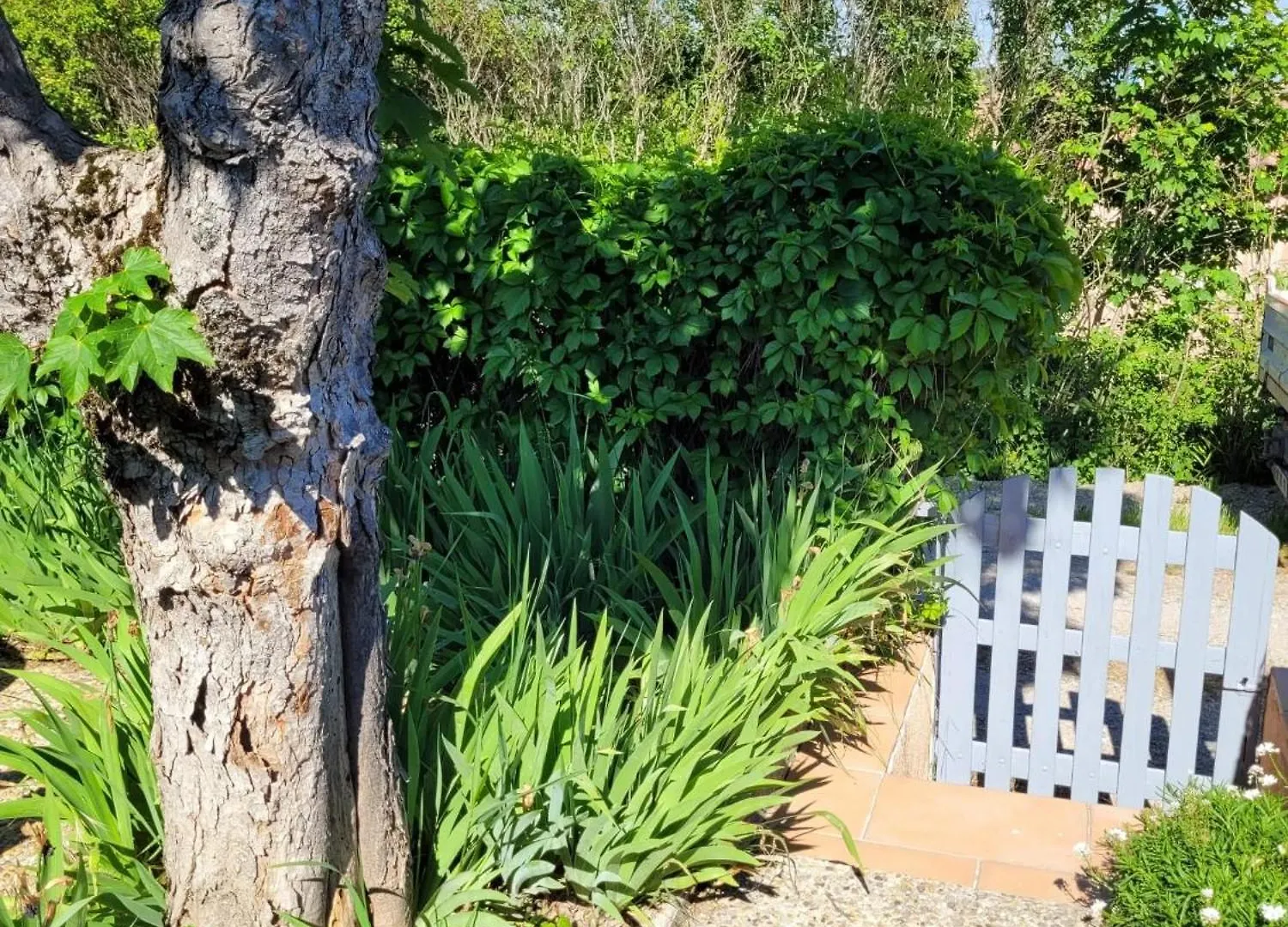 Maison Charmante A Saint-Michel-L'Observatoire Avec Jardin Holiday home