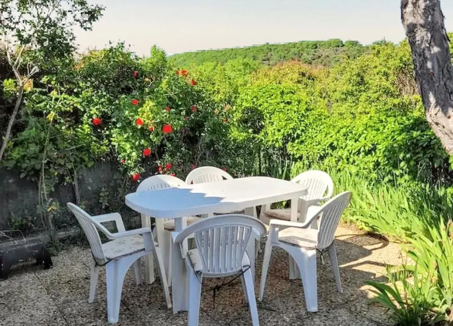 Maison Charmante A Saint-Michel-L'Observatoire Avec Jardin